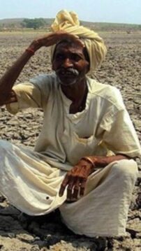 Farmer 1
