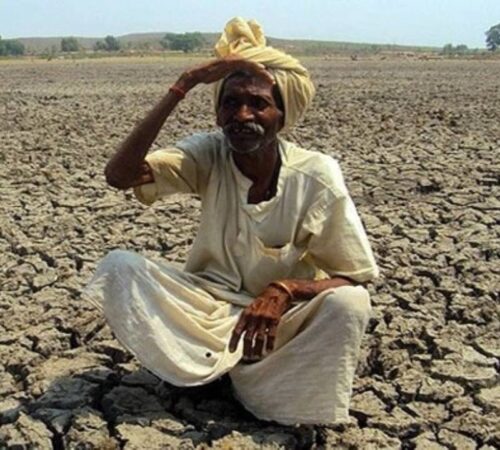 Farmer 1