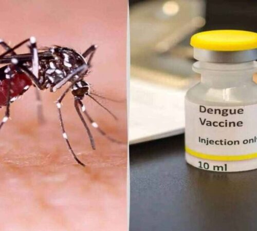Dengue