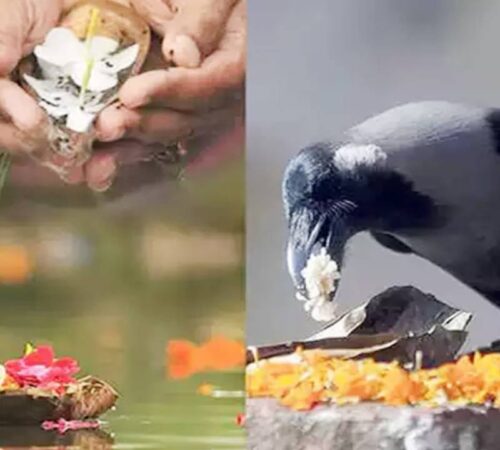 Pitrupaksh