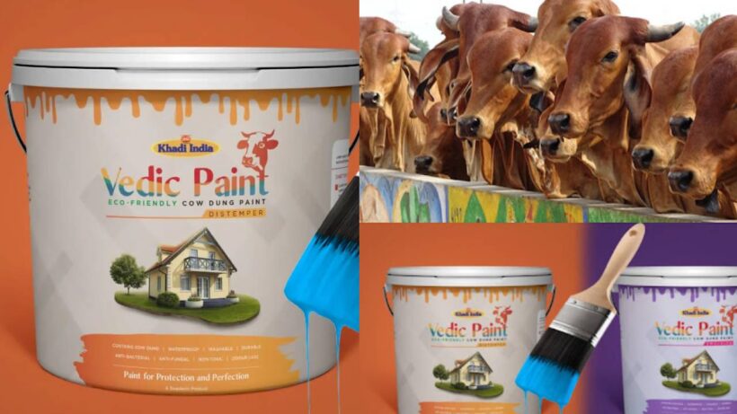 Cow paint