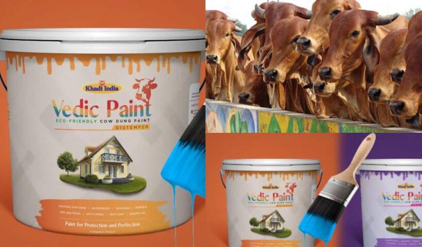 Cow paint