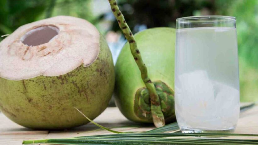 Coconut water
